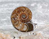 Sterling Ammonite Ring, Size 6.5